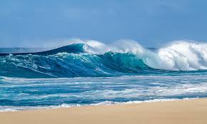 In the realm of entrepreneurship, women are breaking barriers and shattering stereotypes like never before. And among these trailblazers, there's a special group that deserves recognition: moms. Despite the challenges that come with raising children, these incredible women are not just balancing motherhood and business; they're thriving in both realms. Their stories are not just inspiring but also a testament to the power of determination, resilience, and passion. Let's delve into the world of moms making waves in entrepreneurship and uncover the secrets to their success.